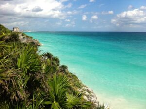 green palm tree near blue sea under blue sky during daytime
