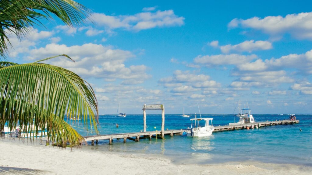 ¿Cuando hay sargazo en Playa del Carmen? ¿Cuando hay sargazo en Playa del Carmen?