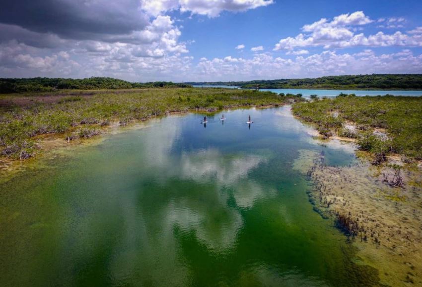 bacalar bacalar