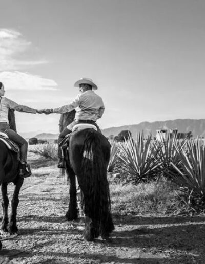 Lugares para pedir matrimonio en Guadalajara
