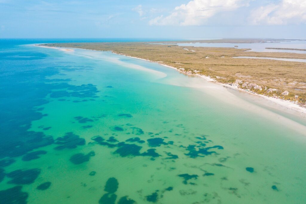 ¿Cuándo se puede ver la bioluminiscencia en Holbox?