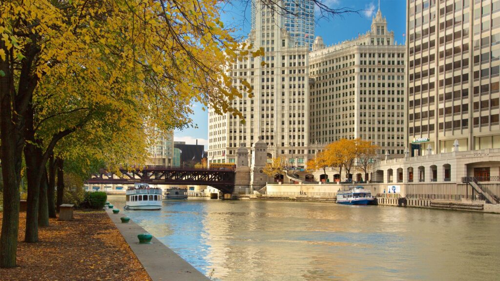 ¿Cuál es la guía definitiva para disfrutar de una mini luna de miel en Chicago después de la propuesta de matrimonio? ¿Cuál es la guía definitiva para disfrutar de una mini luna de miel en Chicago después de la propuesta de matrimonio?