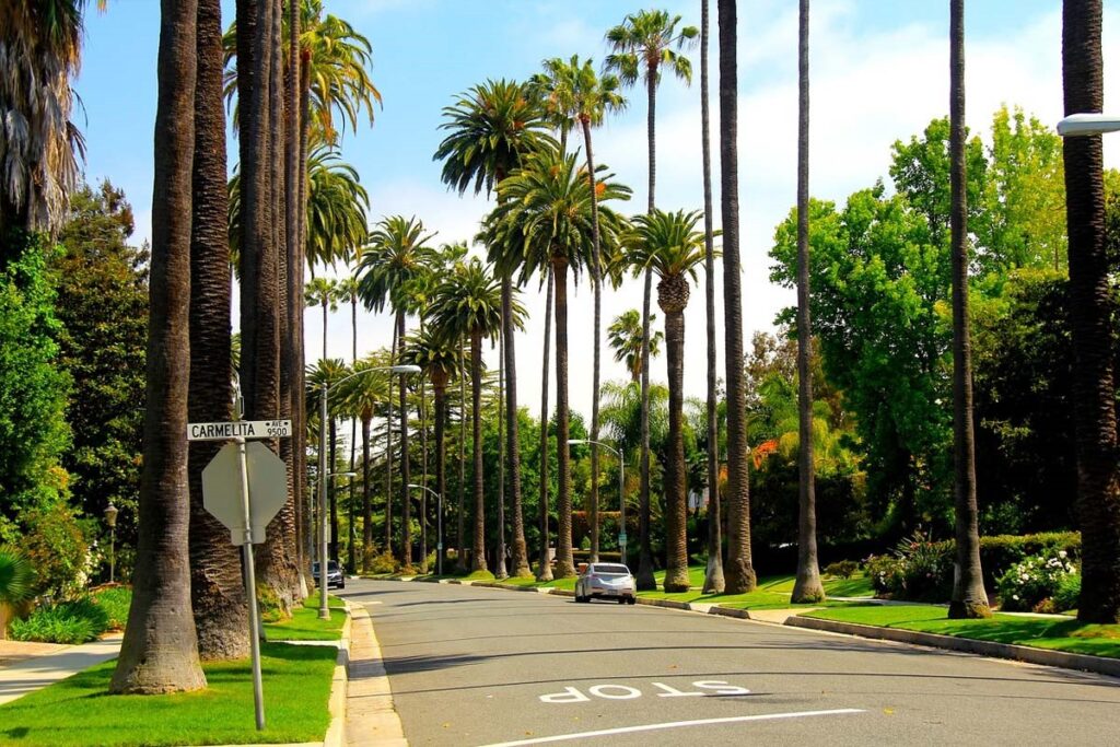 ¿Qué actividades únicas se pueden disfrutar en Los Ángeles para celebrar un compromiso? ¿Qué actividades únicas se pueden disfrutar en Los Ángeles para celebrar un compromiso?
