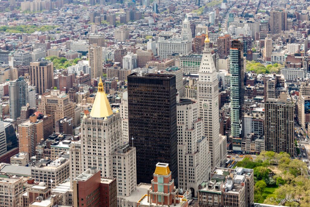 Organizador de propuestas en Nueva York Organizador de propuestas en Nueva York