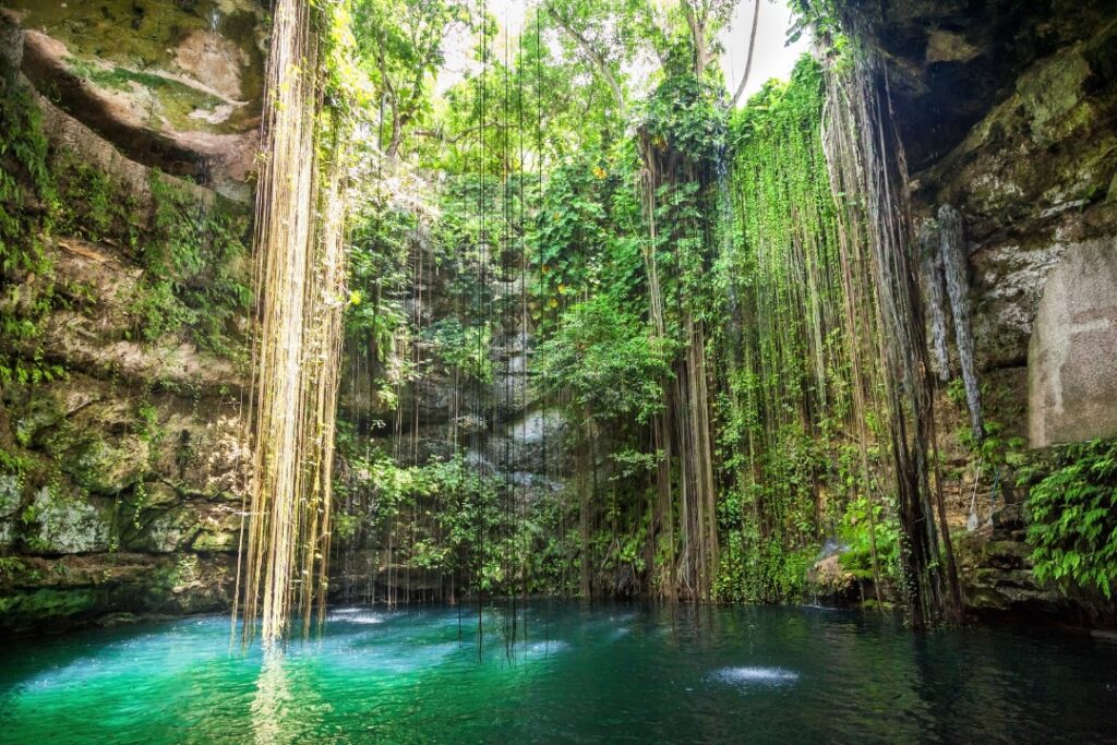 Guía Completa de los Cenotes Más Bonitos de la Riviera Maya