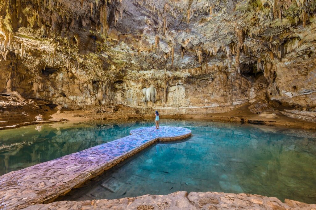 Cenotes y Playas: Los Mejores Lugares para Nadar en la Riviera Maya Cenotes y Playas: Los Mejores Lugares para Nadar en la Riviera Maya