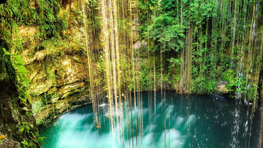 Cenotes para Aventura: Rappel, Tirolesa y Más