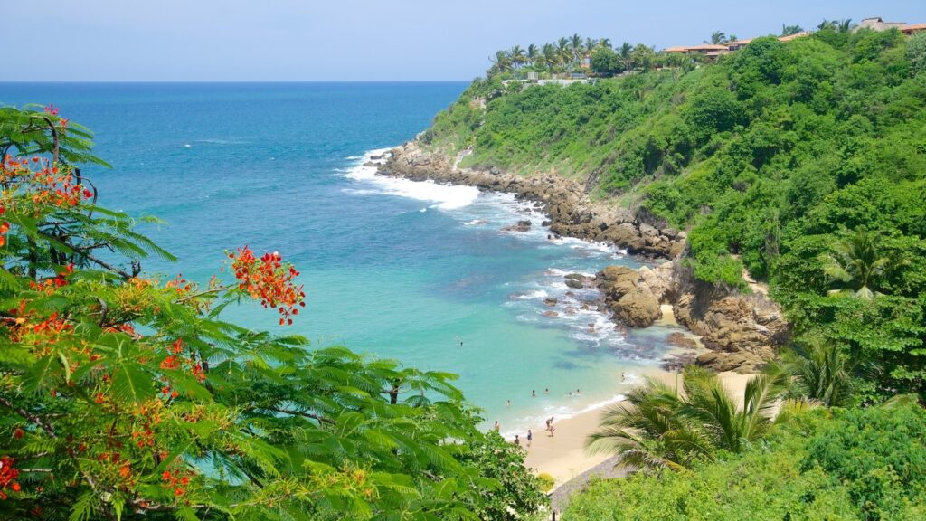 Naturaleza y Ecoturismo: Descubre las Playas y Reservas Ecológicas de Puerto Escondido