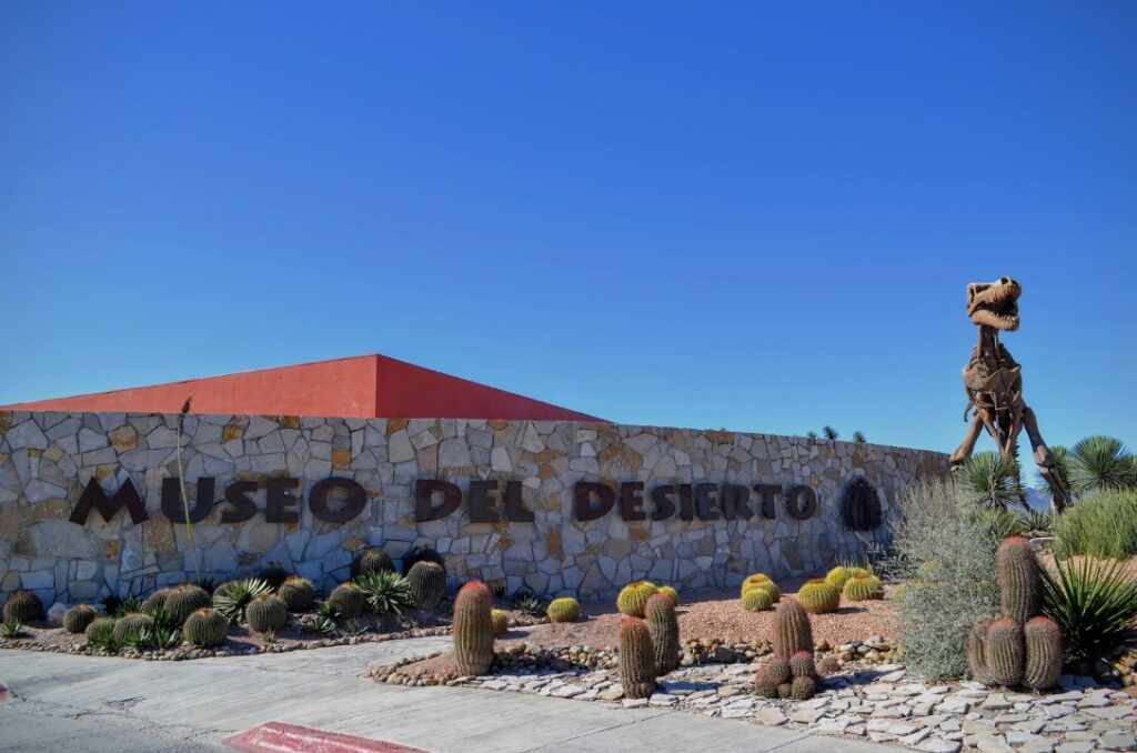 Mejores lugares para bailar y divertirse en pareja en Saltillo