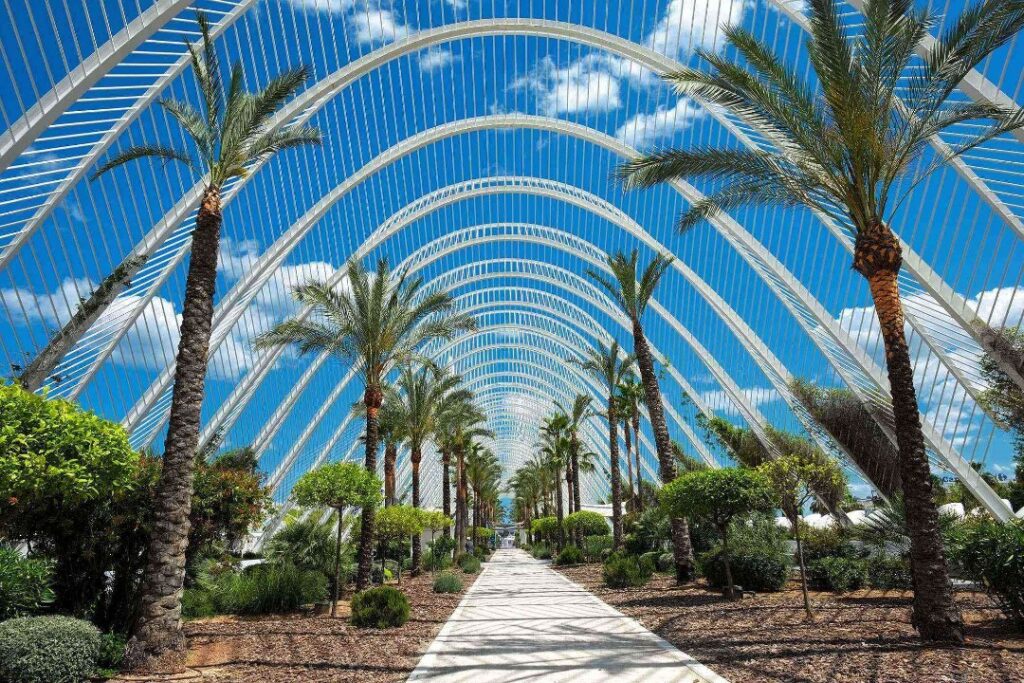 Los 10 accesorios imprescindibles para disfrutar al máximo tu viaje a Valencia con HolboxPhotos Plataforma. ¡Del sombrero a las botas, todo lo que necesitas para una experiencia inolvidable!